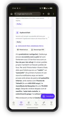 Explicació fàcil generada per IA dins de Nogal.app